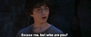 Who-are-you-Harry-Potter-GIF